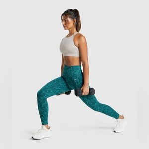 ADAPT ANIMAL SEAMLESS GYMSHARK LEGGING in winter teal